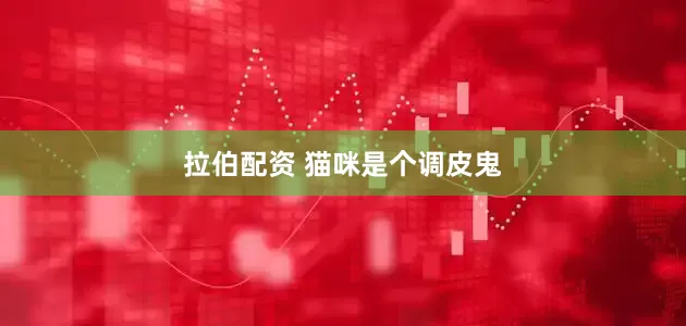 拉伯配资 猫咪是个调皮鬼