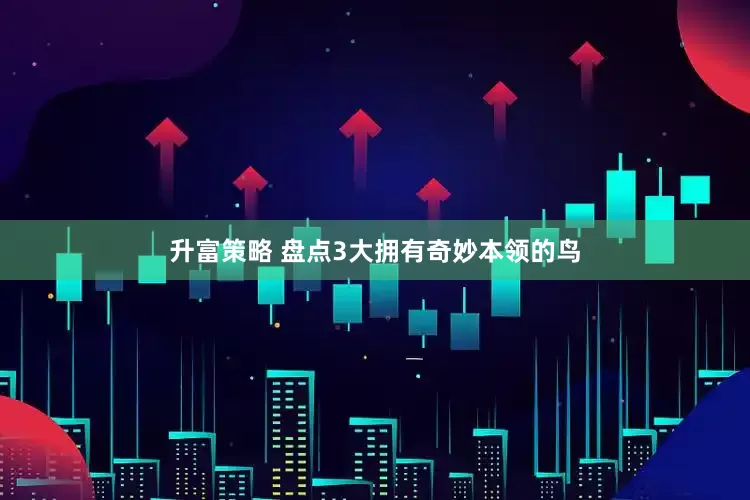 升富策略 盘点3大拥有奇妙本领的鸟