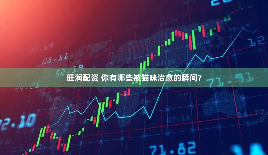 旺润配资 你有哪些被猫咪治愈的瞬间？