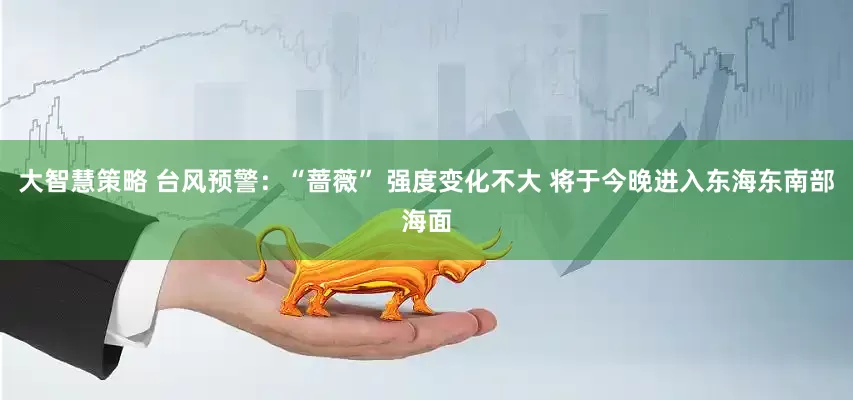 大智慧策略 台风预警:“蔷薇” 强度变化不大 将于今晚进入东海东南部海面
